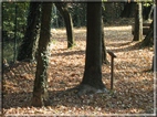 foto Parco Sebellin in Autunno